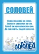 Набор двусторонних развивающих карточек "Звук С". Логопедические стишки на русском. 16 шт - изображение 5