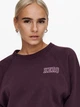 Толстовка ONLY ONLLULA L/S RAGLAN SWT XS Бордовий 15244345-Winetasting-Print:HERO - зображення 3