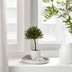 Искусственное растение в горшке IKEA FEJKA мирт комнатный 6 см 205.197.70 - зображення 2