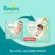 Подгузник Pampers Premium Care Mini Размер 2 (4-8 кг) 240 шт (8001090379474) - зображення 8