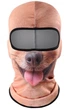 Балаклава 3D з флісом тепла Собака Руда з язиком (1) (623528334) Зверомаска One Size - зображення 1