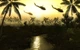 Гра Men of War: Collector Pack 2012 для ПК (Ключ активації Steam) - изображение 5