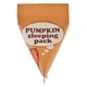 Энзимная ночная маска с тыквой и керамидами Too Cool For School Pumpkin Sleeping Pack 2 мл - изображение 1