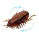 Іграшка для кішок живий Таракан CAPSBOARD COCKROACH 6.5 см (190001) - зображення 1