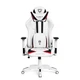 Геймерское кресло Diablo X-Ray Large Black/White - изображение 1