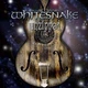 Компакт диски Warner Music Whitesnake Unzipped Deluxe Edition 2CD 0603497856787 - изображение 3