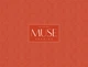 Блок для ескізів та малювання А4 20 арк. MUSE. Професійний блок Muse (ВД-лак) PB-GB-020-033 4823088213010 - зображення 1