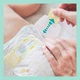 Подгузник Pampers Premium Care Junior Размер 5 (11-16 кг) 58 шт (8001841104997) - изображение 9