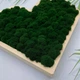 Картина,панно сердце со стабилизированым мхом MiNature Moss 25*28см - изображение 2