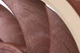Вентилятор Noctua NF-A12x25 PWM - изображение 7