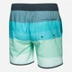 Пляжные шорты Aqua Speed Nolan 302-32 86-94 см (L) Серый/Мятный (5908217675446) - изображение 2