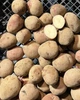 Картофель семенной (посадочный) Фламенко. Среднеспелый, 1 репродукция 100 кг. Урожай 2022 года. - изображение 4