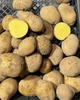Картофель семенной (посадочный) Гала. Среднеранний, 1 репродукция 100 кг. Урожай 2022 года. - изображение 3