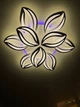 Светодиодная люстра Vatan Light Листья 6+3 220 Вт на 16-25 м.кв - изображение 6