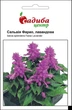 Сальвия Фарао, лавандовая, 0,1 г Садиба Центр - изображение 1