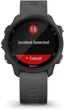 Спортивные часы Garmin Forerunner 245 Slate Gray (010-02120-00) - изображение 6