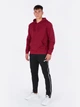 Худи мужское Joma Montana 102108.671 XL Бордовое (8424309423513) - изображение 3