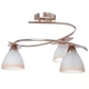 Люстра для кухни потолочная классическая LK-186S/3 E14 FGD Brille L5-209 - изображение 1