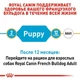 Royal Canin French Bulldog Puppy – корм для щенков французского бульдога от 2 до 12 месяцев, 10 кг (3990100) - изображение 3