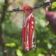 Мультитул Leatherman Skeletool RX (832310) [60707] - изображение 4