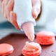 Кондитерський мішок 400 мл багаторазовий Tupperware з 5 насадками - зображення 5