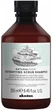 Шампунь Davines Naturaltech Detoxifying очищувальний 250 мл (8004608256533) - зображення 1