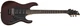 Электрогитара SCHECTER SGR BANSHEE-6 FR WSN - изображение 2