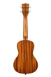 Укулеле KALA LEARN TO PLAY ELVIS BLUE HAWAII CONCERT UKULELE 225581 - изображение 2
