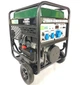 Генератор Iron Angel EG12000EA0 - зображення 1