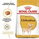 Сухой корм Royal Canin Chihuahua Adult - сухой корм для чихуахуа от 8 мес., 0.5 кг (2210005) - изображение 2