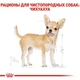 Сухой корм Royal Canin Chihuahua Adult - сухой корм для чихуахуа от 8 мес., 0.5 кг (2210005) - изображение 3
