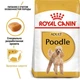 Сухой корм Royal Canin Poodle Adult - сухой корм для пуделей от 10 мес., 7.5 кг (3057015) - изображение 2