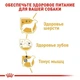 Сухой корм Royal Canin Poodle Adult - сухой корм для пуделей от 10 мес., 7.5 кг (3057015) - изображение 4