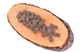 Сухой корм для собак Carnilove True Fresh TURKEY for Adult dogs с индейкой 11.4 кг (8595602545971) - изображение 2
