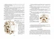 Одиниця з обманом - Всеволод Нестайко (9789668182501) - изображение 3
