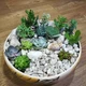Суккулент микс (композиция из суккулентов и различного декора) GreenLife 12.97 - изображение 1