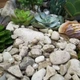 Суккулент микс (композиция из суккулентов и различного декора) GreenLife 12.97 - изображение 5
