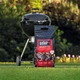 Вугільні брикети BBQ 4 кг Weber 17590 - зображення 3