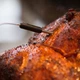Цифровой термометр 2 щупа Broil King 61935 - изображение 4