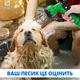 Шланг для полива X-hose 52,5 м Зелёный садовый поливочный с распылителем для воды на 7 режимов - изображение 8