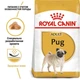 Сухой корм Royal Canin Pug Adult - сухой корм для мопсов от 10 мес., 1.5 кг (3985015) - изображение 2