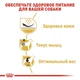 Сухой корм Royal Canin Pug Adult - сухой корм для мопсов от 10 мес., 1.5 кг (3985015) - изображение 4