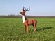 Садова фігура Олень 100 см - изображение 3