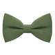 Метелик Bow Tie House Asparagus лляний 10250 - зображення 1