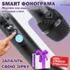 Микрофон караоке Magic Karaoke L-899 Чёрный Портативный 2в1 встроенная Bluetooth колонка 30Вт Функция записи и Фонограмма Режим Дуэт Громкий бас и 3 уровня шумоподавления - изображение 3