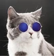 Очки для кошек и котов "CATDOG" Blue Size S - изображение 6