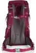 Туристический треккинговый рюкзак Crivit IAN393507 бордовый - изображение 4