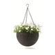 Горщик для рослин Keter Rattan hanging sphere (7290106924567) - зображення 1