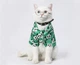 Очки для кошек и собак "CATDOG" Color Transparent Size S - изображение 2