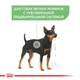 Сухой корм Royal Canin Mini Digestive Care – для собак малых пород с чувствительным пищеварением, 8 кг (2447010) - изображение 3